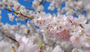 Waterproof Incontinence Pants Waterproof Incontinence Pants